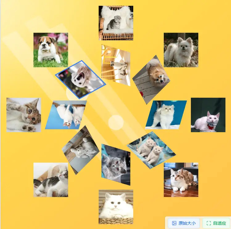 Multi-perspective Ring collage demonstration