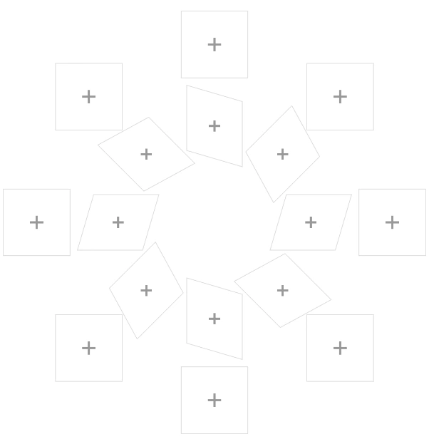 Multi-perspective Ring collage preview